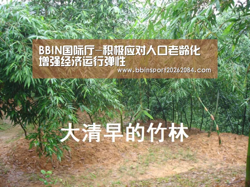 BBIN国际厅-积极应对人口老龄化 增强经济运行弹性(图1) BBIN电竞